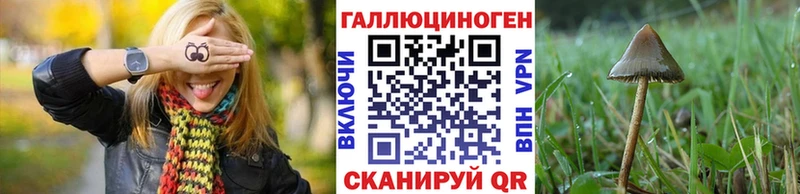 продажа наркотиков  Николаевск  маркетплейс наркотические препараты  Псилоцибиновые грибы Psilocybine cubensis 